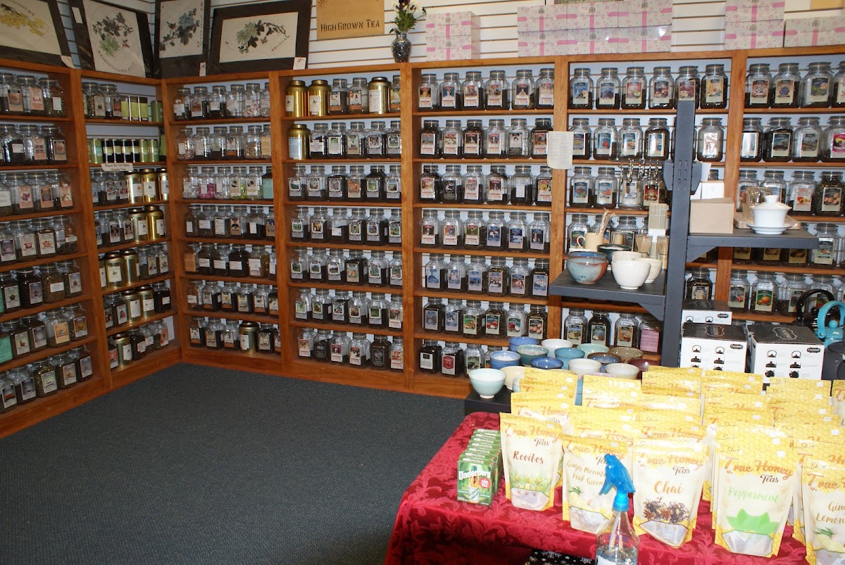 Angelinas Teas Photos 2